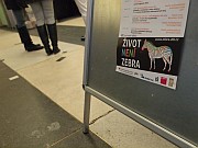 zebra-mala.jpg